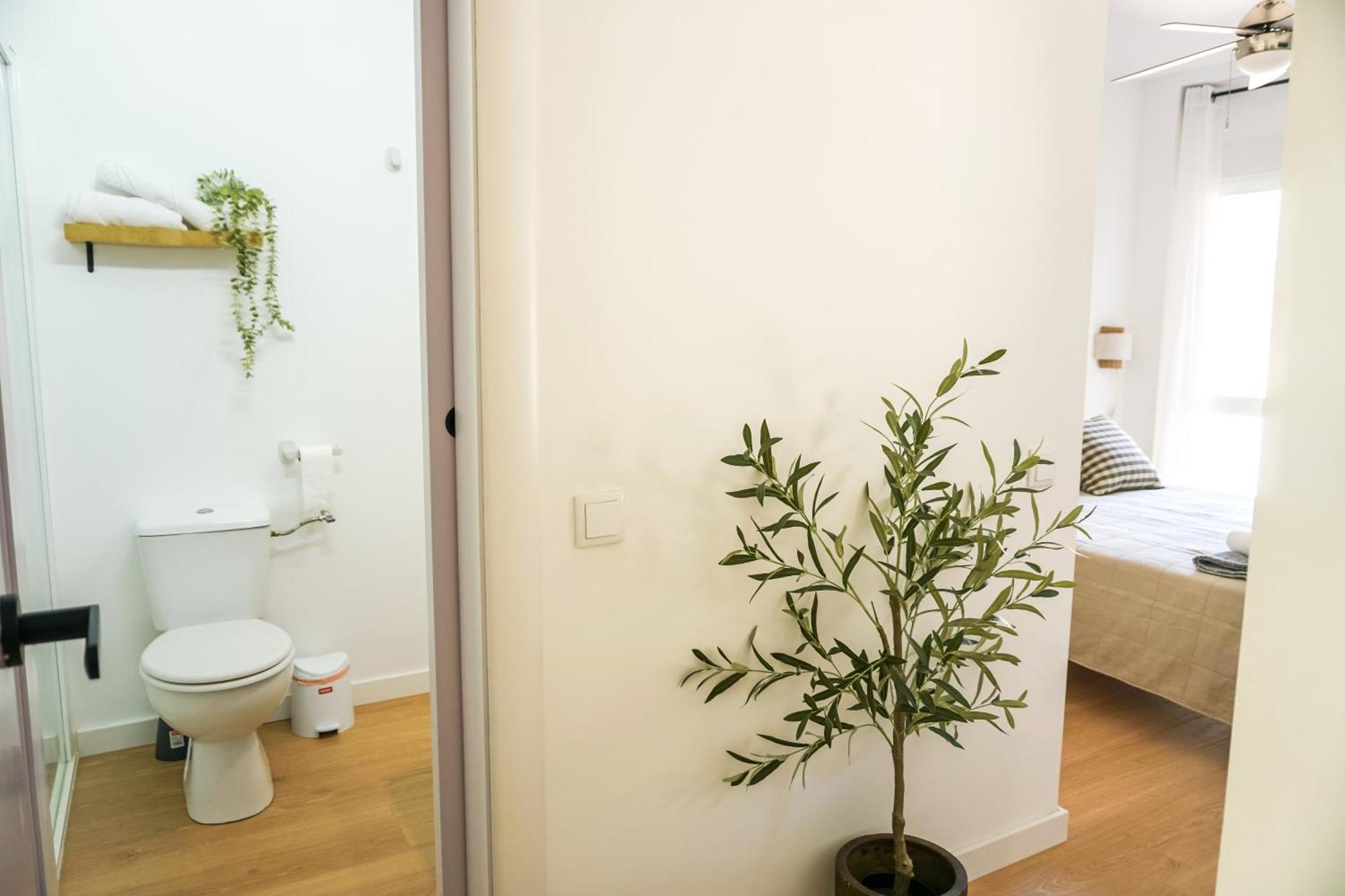 Apartamento El Olivo Alicante Dış mekan fotoğraf